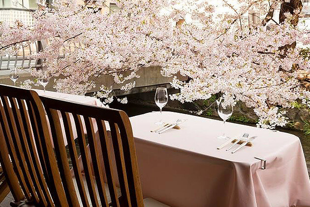 桜が見えるお店特集 2016