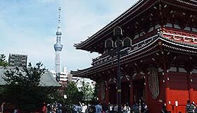 ヒトサラまとめ