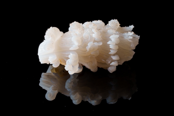 おまかせコース