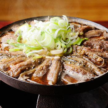 夏の活力源「どじょう」