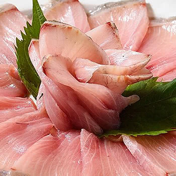 厳冬の幸「寒ブリ」