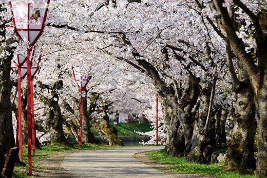 弘前公園