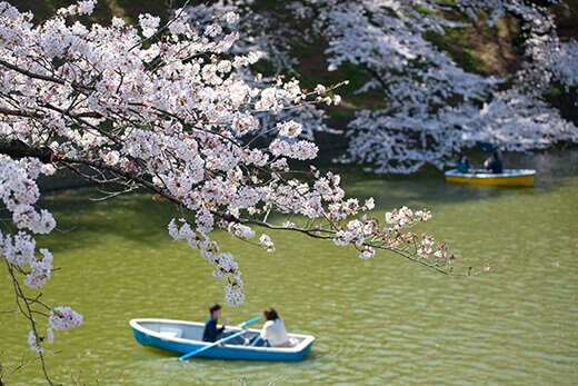 靖国神社・千鳥ヶ淵