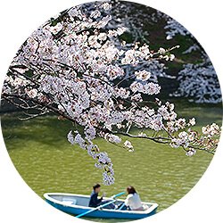 お花見スポット